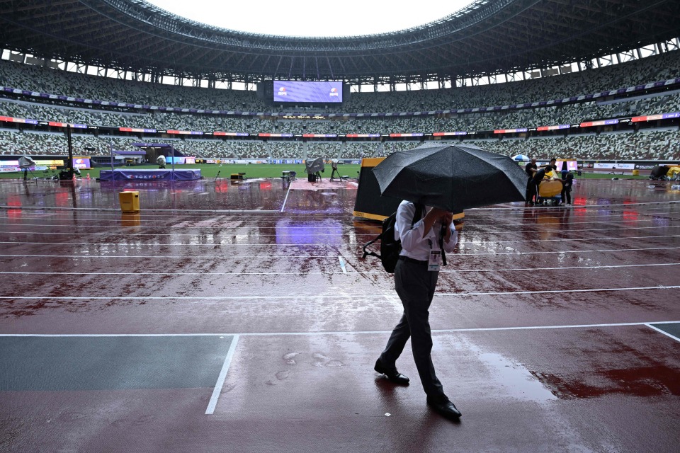 法新, 锦标赛标识